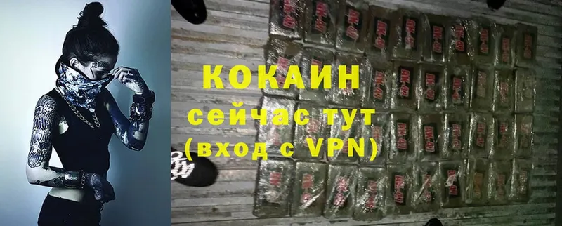 Cocaine Fish Scale  дарнет шоп  Павловский Посад 